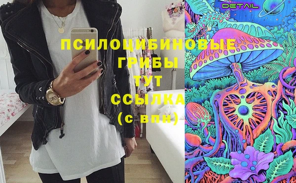 молекула духа Зерноград